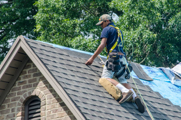 Best Roof Gutter Cleaning  in Manawa, WI